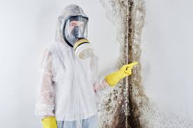 East Shoreham, NY Mold Removal & Remediation Company